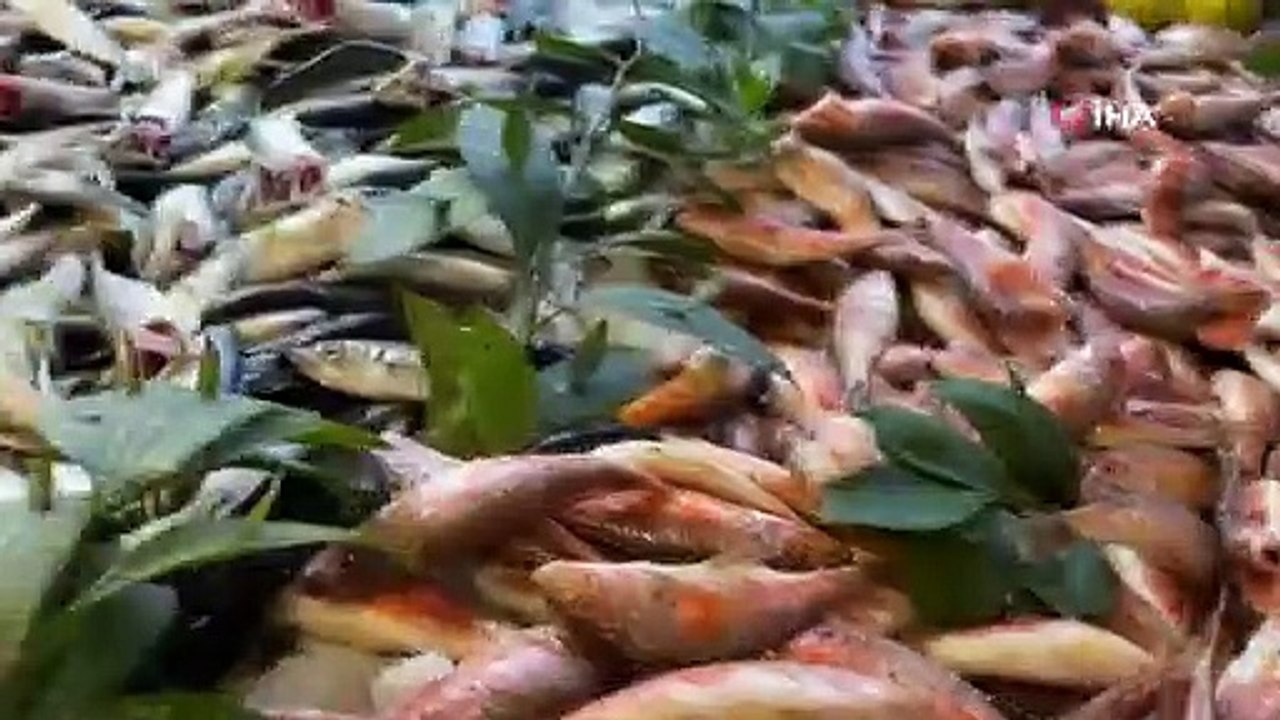 Karlar altında filmleri aratmayan olay