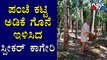 ಪಂಚೆ ಕಟ್ಟಿ ತೋಟಕ್ಕಿಳಿದ ಸ್ಪೀಕರ್ ವಿಶ್ವೇಶ್ವರ ಹೆಗಡೆ ಕಾಗೇರಿ..! | Vishweshwar Hegde Kageri