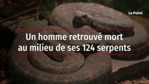 Un homme retrouvé mort au milieu de ses 124 serpents