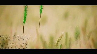 O Bekhabar O Beqadar ❤❤  Salman Khan _ Aishwarya Rai _ ❤❤ Beautiful Song