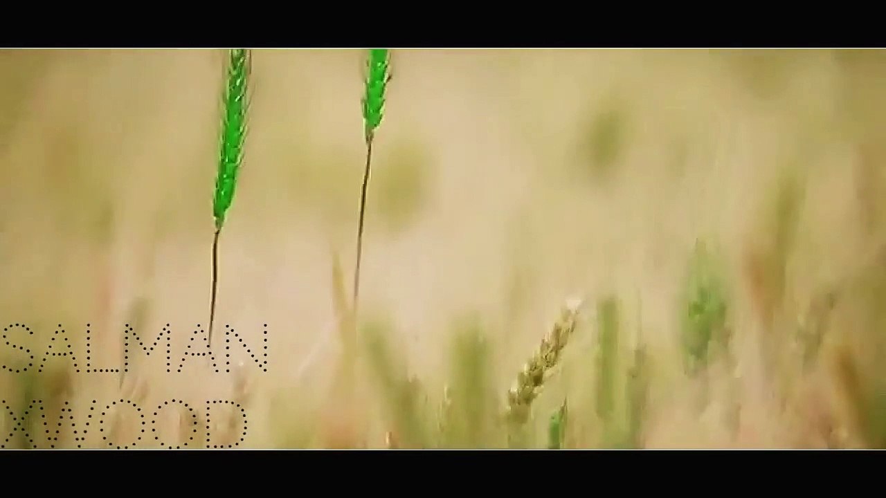 O Bekhabar O Beqadar ❤❤  Salman Khan _ Aishwarya Rai _ ❤❤ Beautiful Song