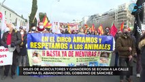 Miles de agricultores y ganaderos se echan a la calle contra el abandono del Gobierno de Sánchez