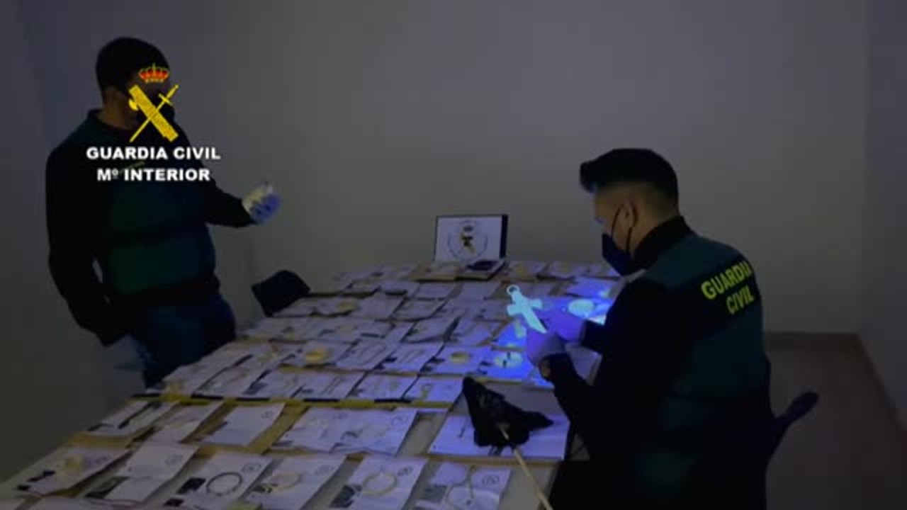 Recuperadas 100 piezas de marfil y pieles de serpientes y lagartos para su venta ilegal en el País Vasco