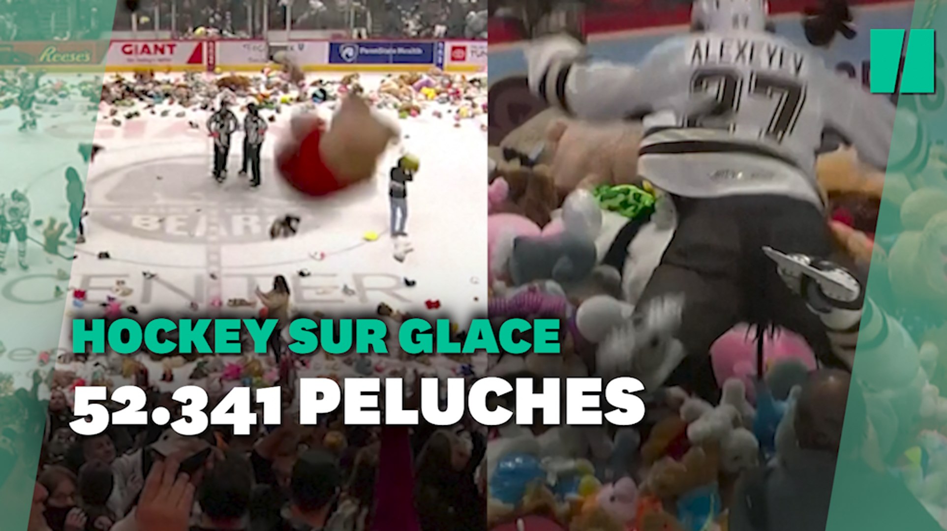 Un record de lancer de peluches battu pour la bonne cause lors de ce match  de hockey - Vidéo Dailymotion