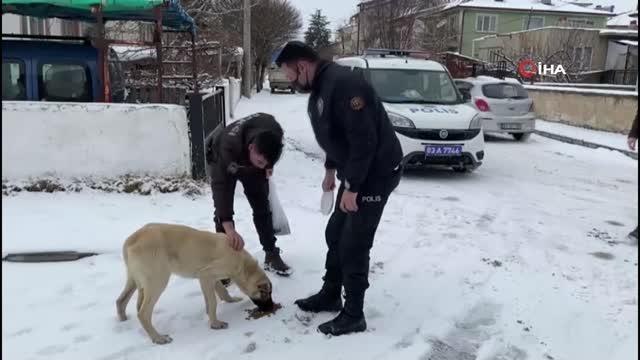Son dakika haber... Polis hem devriye gezdi hem de sokak hayvanlarını beslediler