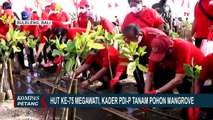 Peringati Hari Ulang Tahun Megawati, Kader PDIP Gelar Tanam Pohon dan Penghijauan Serentak