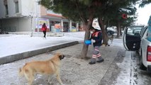 Ağır kış koşullarında sokak hayvanları unutulmadı