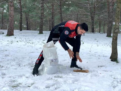 Sultangazi emniyeti sokak hayvanlarını unutmadı