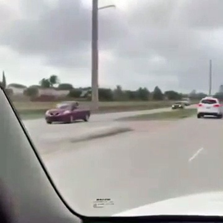 Ce qu'il va croiser sur l'autoroute est dingue