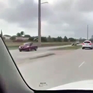 Ce qu'il va croiser sur l'autoroute est dingue