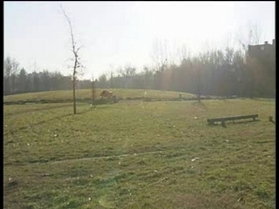 gio 06-03-2008