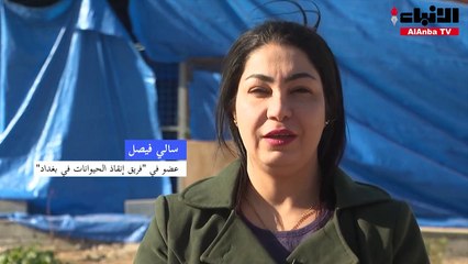 في بغداد أول محمية لإيواء الحيوانات الأليفة المشردة