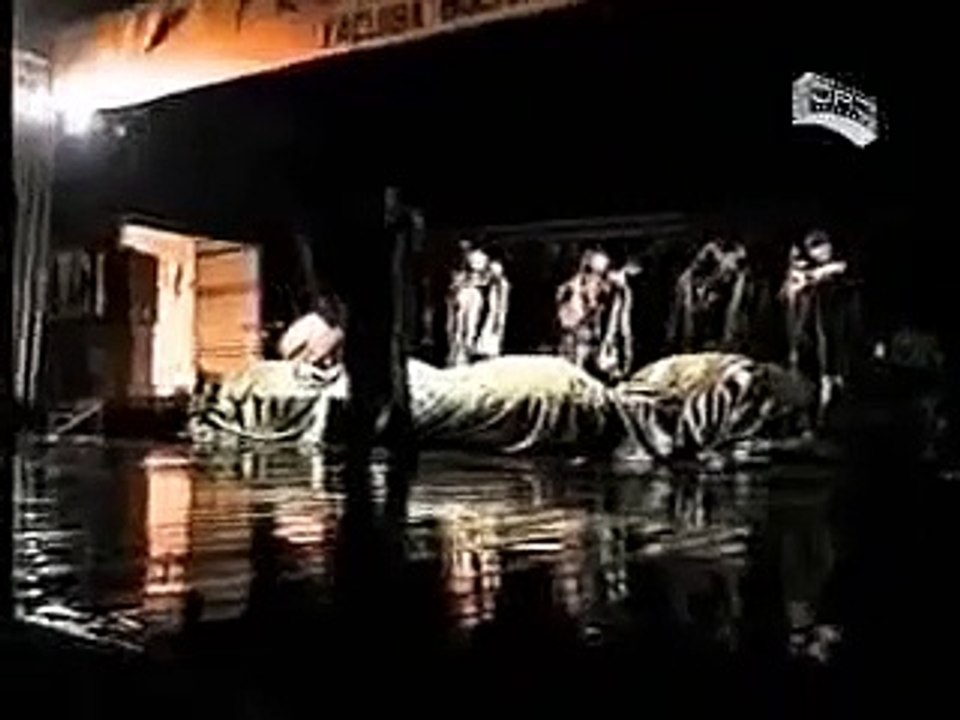 Camargo - El Picaflor