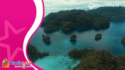 Melihat Pesona Pulau Kecil yang Bagai Surga di Papua Barat