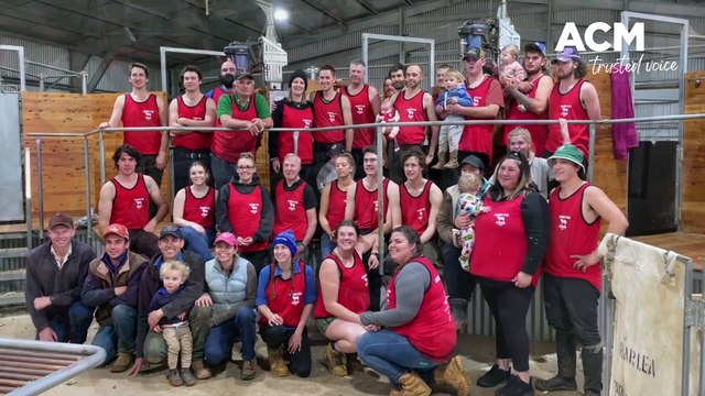 Shear for Cinny fundraiser to support family of late Walbundrie shearer Jacinta Beetson | June 14, 2022 | Border Mail