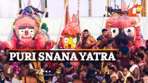WATCH Snana Yatra Rituals Of Lord Jagannath From Puri