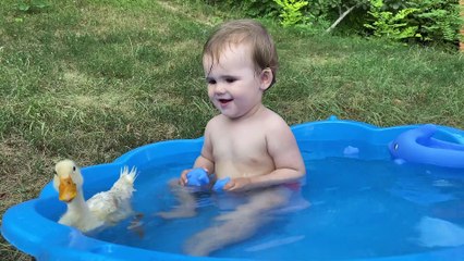 Funny Baby Reaction to Duckling in the Pool