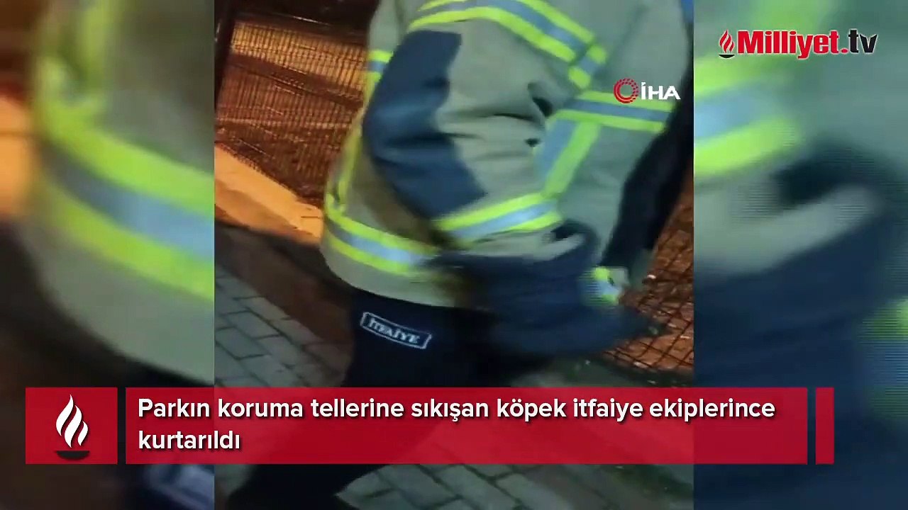 Parkın koruma tellerine sıkışan köpeği itfaiye kurtardı