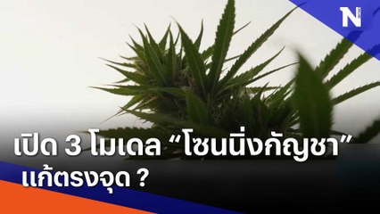 เปิด 3 โมเดล "โซนนิ่งกัญชา" แก้ตรงจุด ? | เนชั่นทันข่าวเช้า | NationTV22