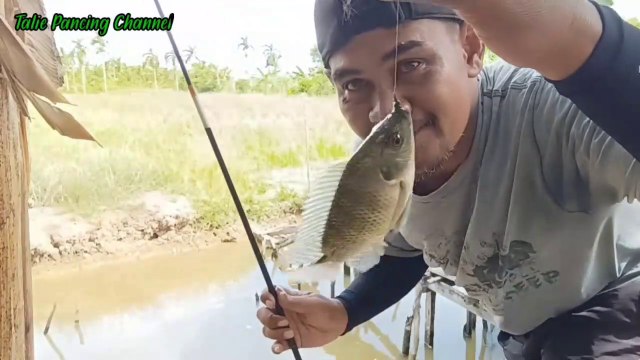 MEMANCING IKAN DI JEMBATAN KECIL PERSAWAHAN BANYAK IKAN NILA NYA MANTAAAP!!
