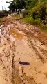 Moradores do Salgadinho e Nova Brasília reclamam de lamaçal na estrada que dá acesso à Alça Sudeste, em Patos