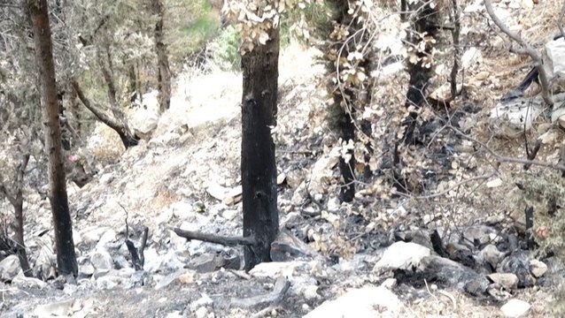 Lebanese firefighters battle forest fires