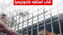 اعتداء إنسان الغاب على شاب "استفزه" بأندونيسيا