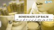 Lip Balm Banane Ka Tarika | How to Make Lip Balm at Home | Lip Balm Benefits | Dr Umme Raheel Tips