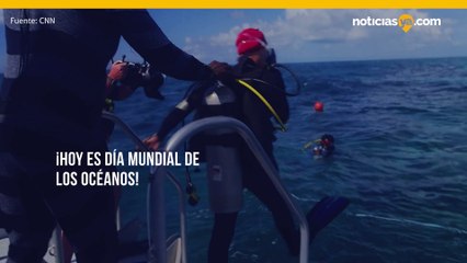 Hoy es el Día Mundial de los Océanos