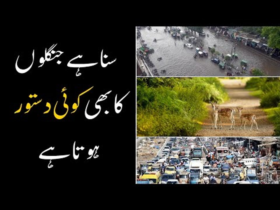 Suna He Janglon Ka Bhi Koi Dastoor Hota He | Heart Touching Poetry