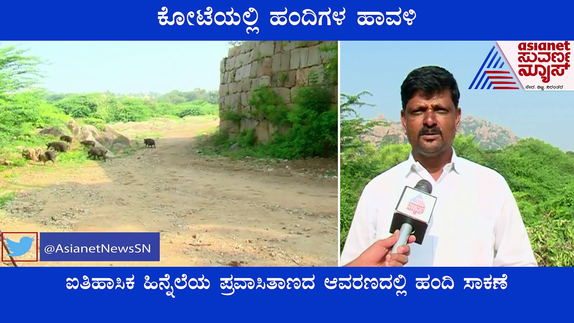 Chitradurga Fort: ಉಕ್ಕಿನ ಕೋಟೆಯಲ್ಲಿ ಹಂದಿಗಳ ಹಾವಳಿ: ದ್ವಾರಬಾಗಿಲನ್ನೇ ಮುಚ್ಚಿರೊ ಕಿಡಿಗೇಡಿಗಳು!