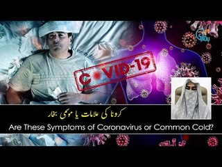Corona Virus Or Common Cold: How To Do Perfect Diagnosis? (Urdu/Hindi)