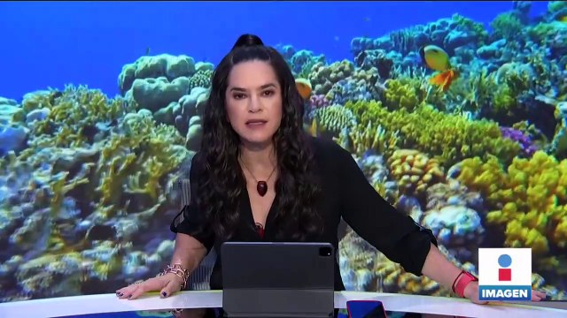 Arrecife Alacranes, víctima de pescadores furtivos