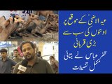 JDC Foundation Karachi Qurbani 2021 | Camel Qurbani | Zafar Abbas Interview | Eid ul Adha