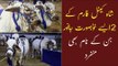 Karachi Gaye Mandi | Shah Cattle Farm 2021 Collection |  Cow Mandi Sohrab Goth | Bakra Mandi