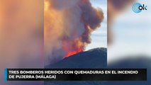 Tres bomberos heridos con quemaduras en el incendio de Pujerra (Málaga)