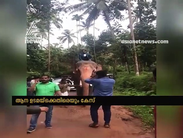 ആനപ്പുറത്തേറി വിവാഹ പന്തലിലേക്ക്; വരനെതിരെ കേസ്