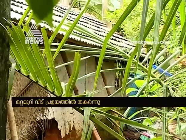 ഈ നാല് കവുങ്ങ് തൂണുകളിലാണ് എണ്‍പതുകാരി ഖദീജുമ്മയുടെ സുരക്ഷ
