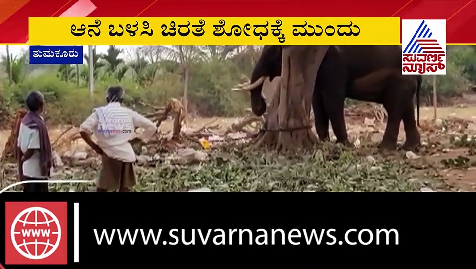 ನರಭಕ್ಷಕ ಚಿರತೆಯ ಸೆರೆಗೆ ನಾಗರಹೊಳೆಯ ಆನೆ