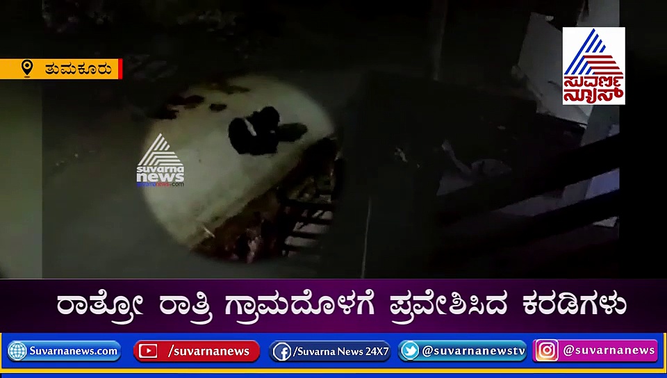 ಕತ್ತಲಲ್ಲಿ ಕಪ್ಪು ಕರಡಿ: ಗ್ರಾಮದೊಳಗೆ ಇವುಗಳ ಸಂಚಾರ ನೋಡಿ