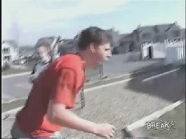 Playground Spring Animal Nutshot