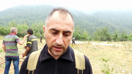 جهود مضنية لإخماد حريق اندلع في أكبر غابة صنوبر بري في لبنان