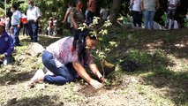Lanzan cruzada de reforestación en el municipio de Mateare