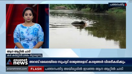 പത്തനംതിട്ടയില്‍ ഇടഞ്ഞ ആന ആറ്റില്‍ ചാടി