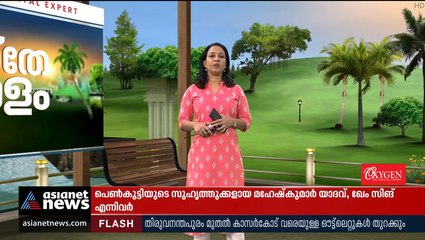 കാട്ടുപന്നിയെ വെടിവയ്ക്കാനുള്ള അധികാരം; ഉത്തരവിൽ അവ്യക്തത