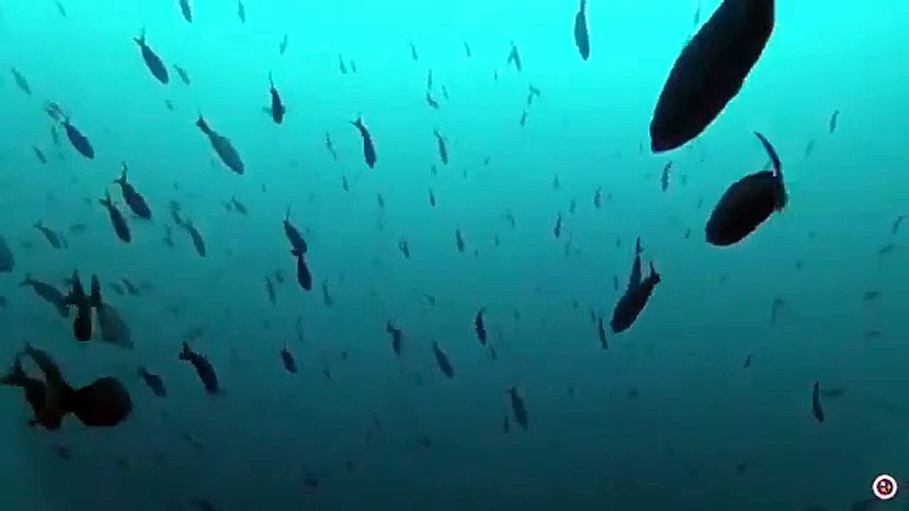 4_6016900292912612211