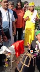 Viral.. Di  Gresik Orang menikah dengan kambing.