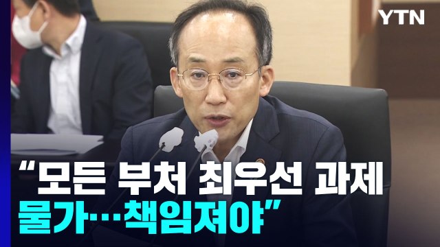 모든 부처 최우선 과제 물가...규제 풀기는 부총리 팀장 특별팀 / YTN