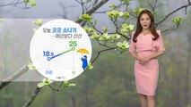 [날씨] 곳곳에 요란한 소나기...낮 동안에도 선선 / YTN