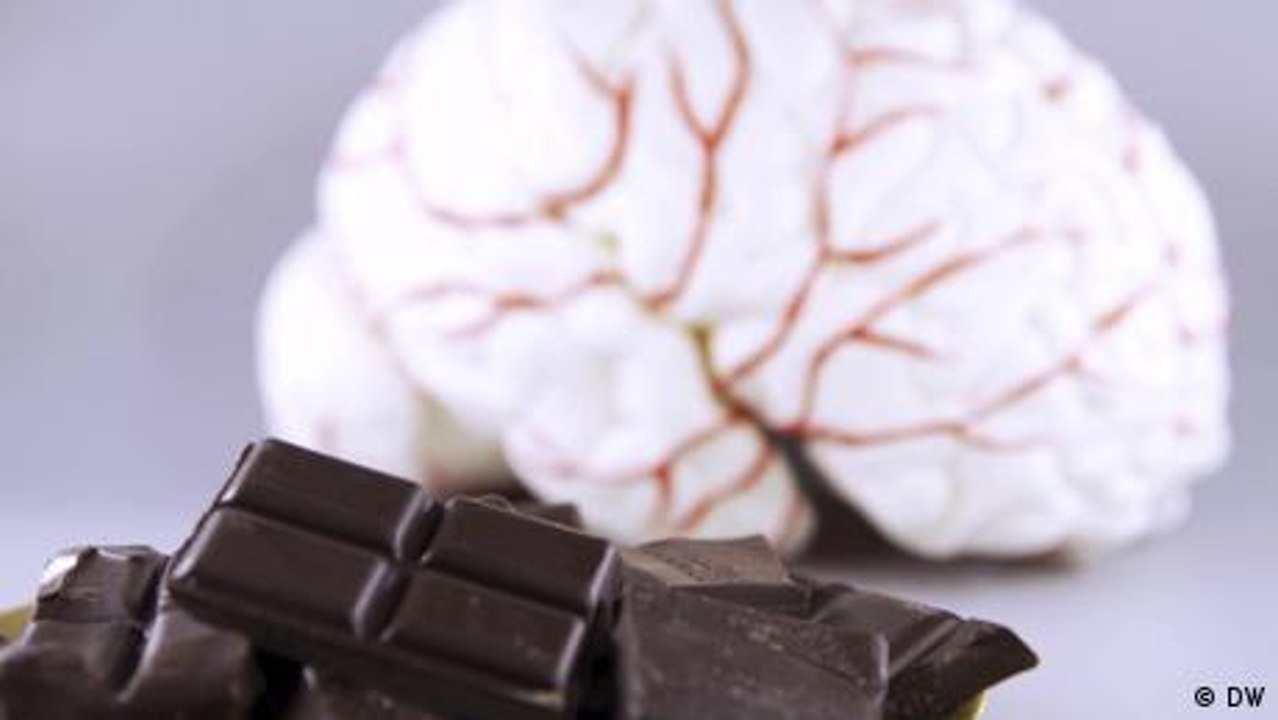 Bocados de salud - Alimento para el cerebro